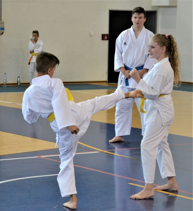 Mestské športové dni - karate a plávanie