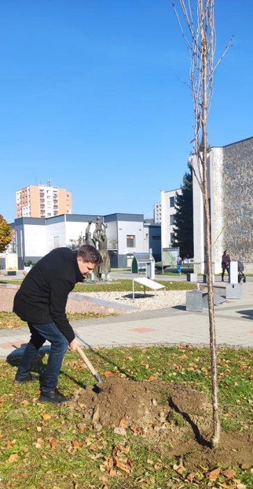 Poslanci z klubu Odvážne Humenné vysadili na Južnom námestí okrasné čerešne