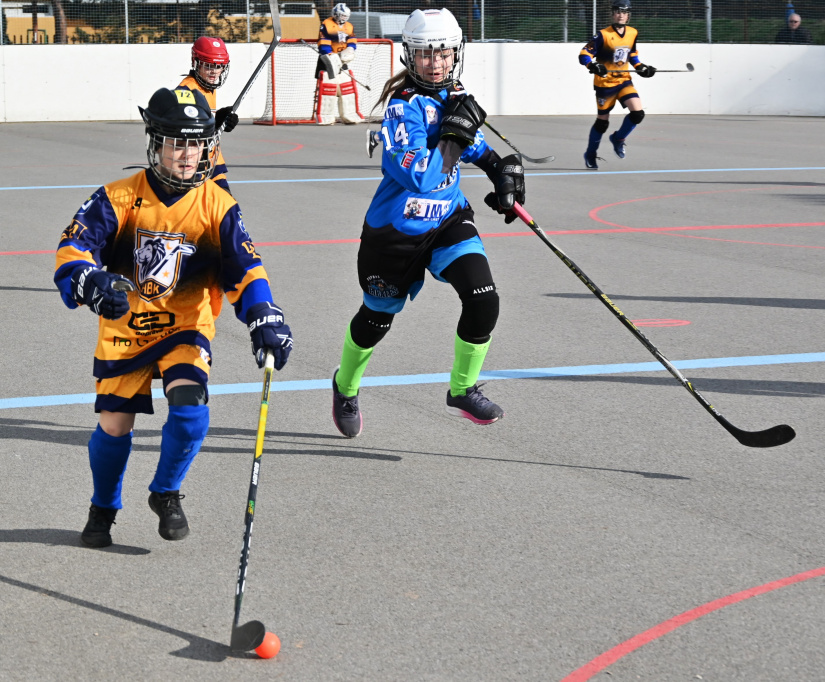 Hokejbalová extraliga U-14, turnaj v Humennom, HBK Levíčatá Humenné